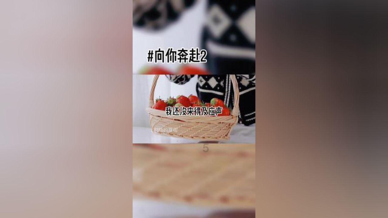 逃离密苏里州花园