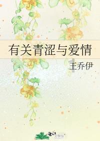 狗狗物品记忆卡