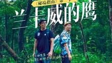 疯狂的小猫
