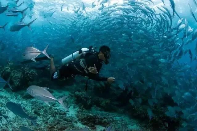 唐河县湖阳镇卫生院检验科通过实验室生物安全备案现场审核
