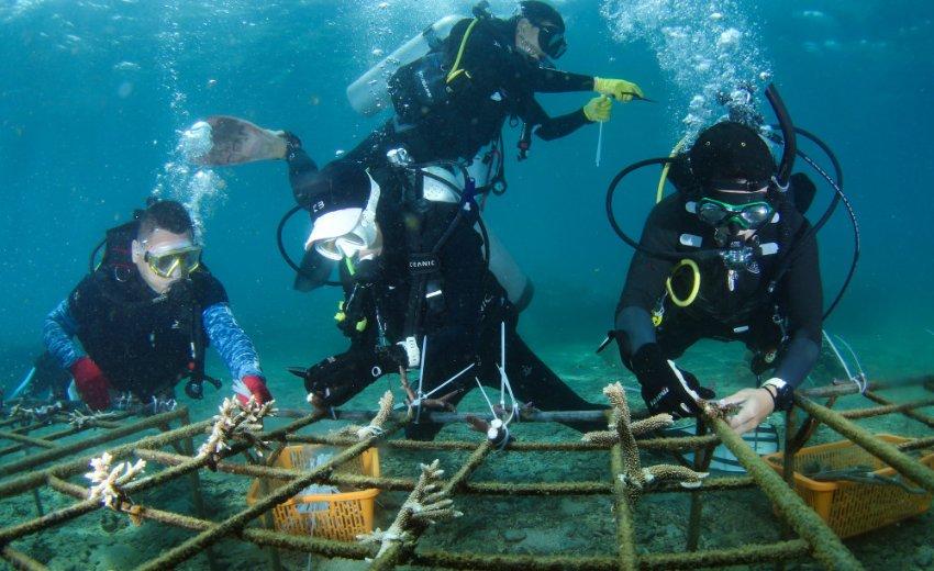2024年新春旅游休闲宣传推广活动启动