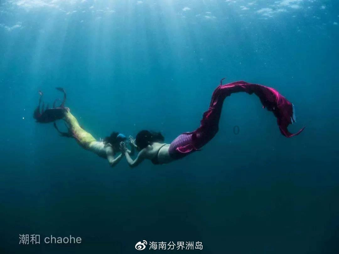 一年以来,海南省人大常委会重点推动这些立法工作