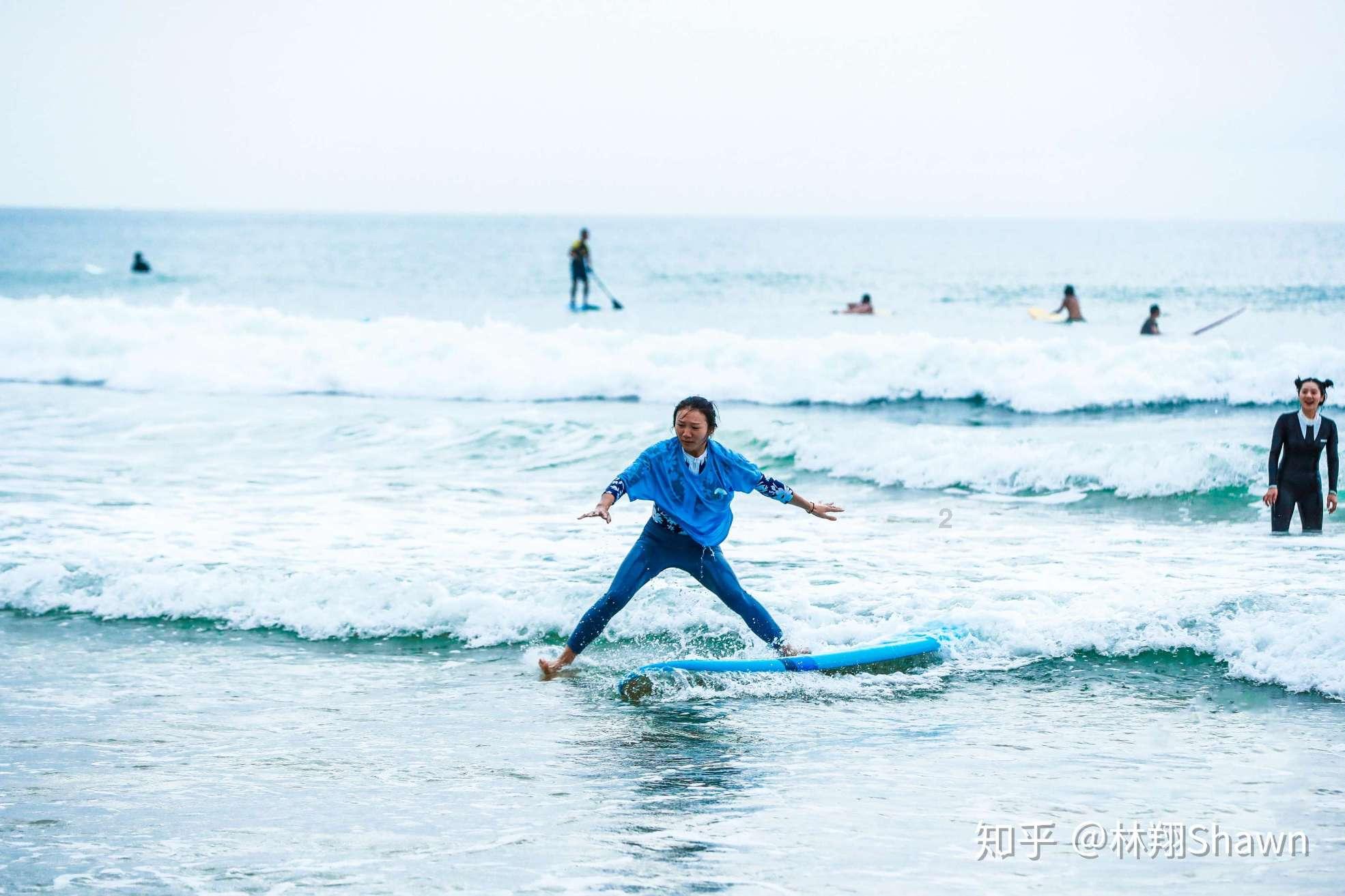狐狸的旅程