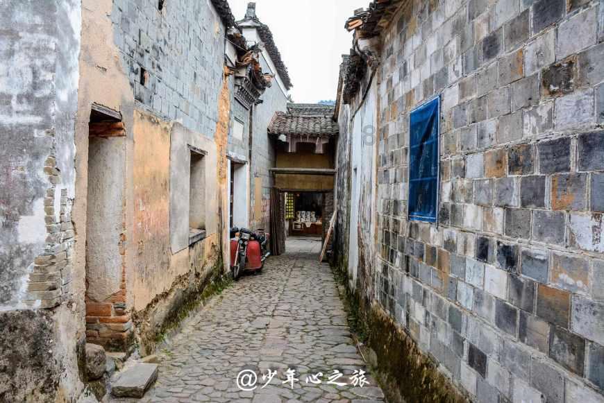 拯救机灵鸟